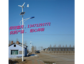 風光互補太陽能路燈FGD-32 風光互補太陽能路燈FGD-32