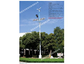 風(fēng)光互補太陽能路燈FGD-30 風(fēng)光互補太陽能路燈FGD-30